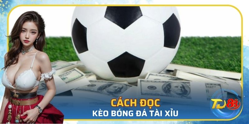 Cách đọc kèo bóng đá tài xỉu