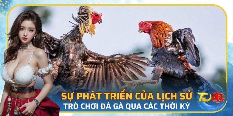Lịch sử trò chơi đá gà qua 3 thời kỳ lớn