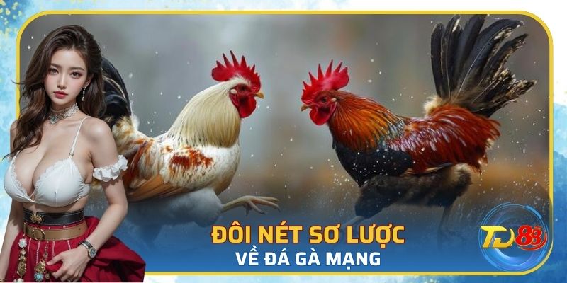 Đôi nét sơ lược về đá gà mạng