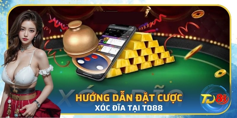 Hướng dẫn đặt cược xóc đĩa tại TD88
