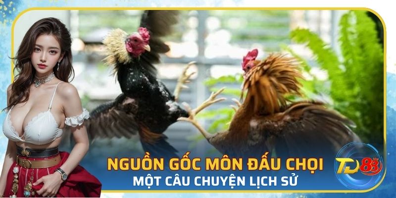 Khái quát về nguồn gốc đá gà của người xưa