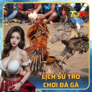 Lịch Sử Trò Chơi Đá Gà