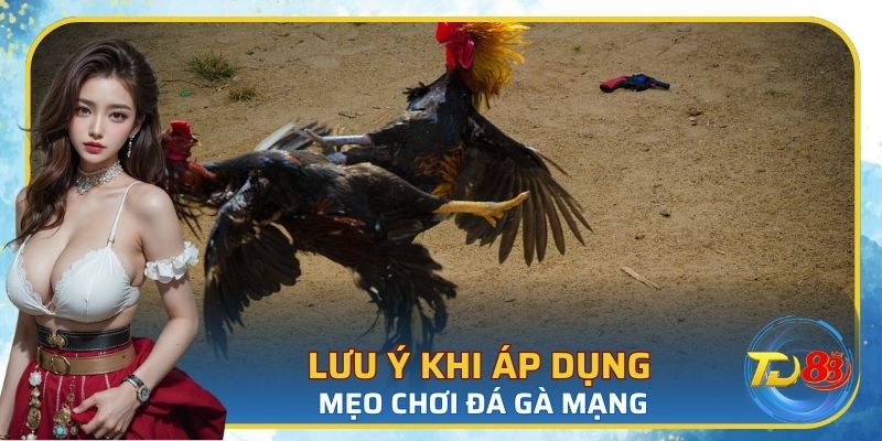 Lưu ý khi áp dụng mẹo chơi đá gà mạng