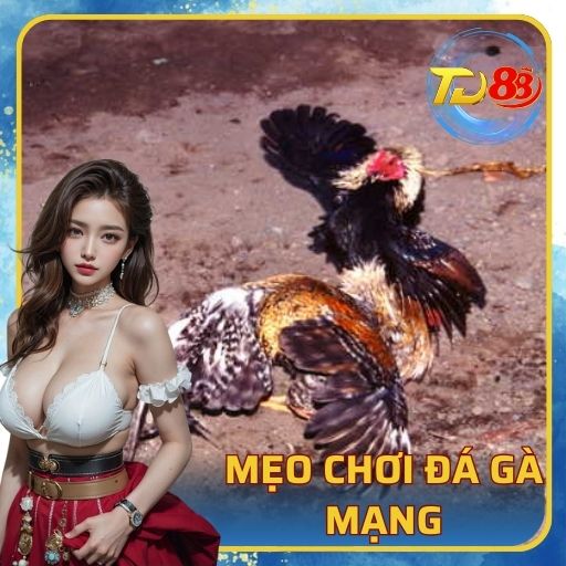 Mẹo Chơi Đá Gà Mạng