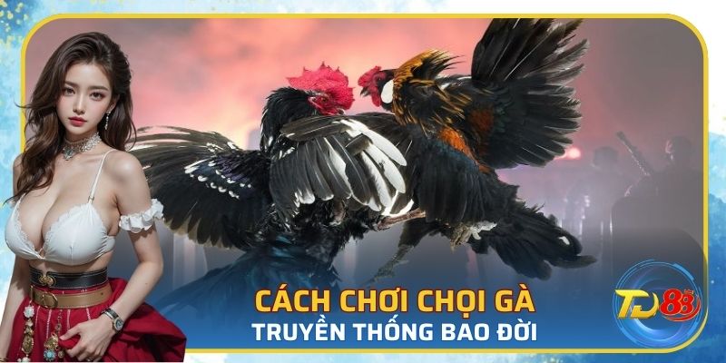 Mẹo chơi được tổng hợp từ cao thủ được ghi lại trong lịch sử trò chơi đá gà