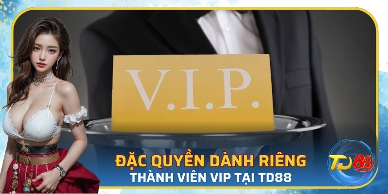 Một số đặc quyền dành riêng cho thành viên VIP