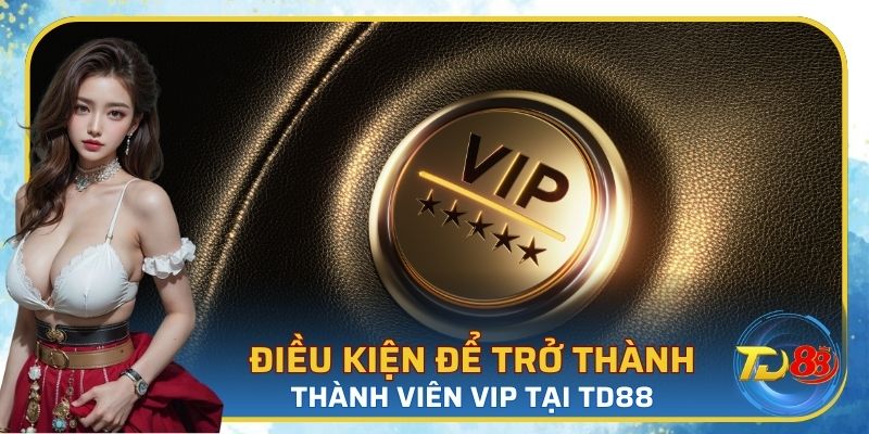 Một số yêu cầu để tham gia hội viên VIP