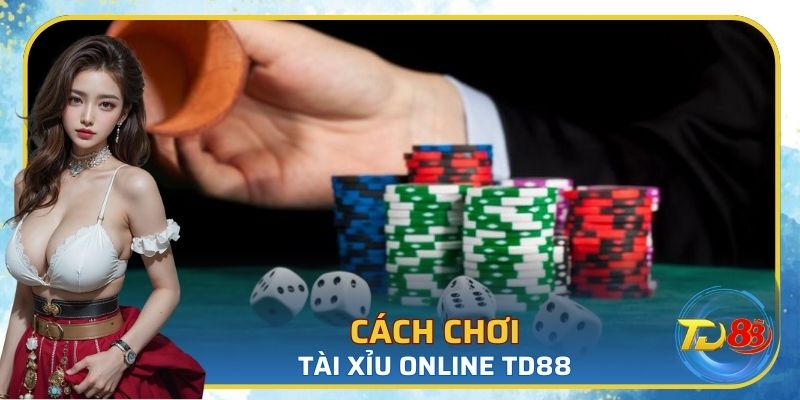 Những cách chơi tài xỉu trực tuyến TD88 cơ bản