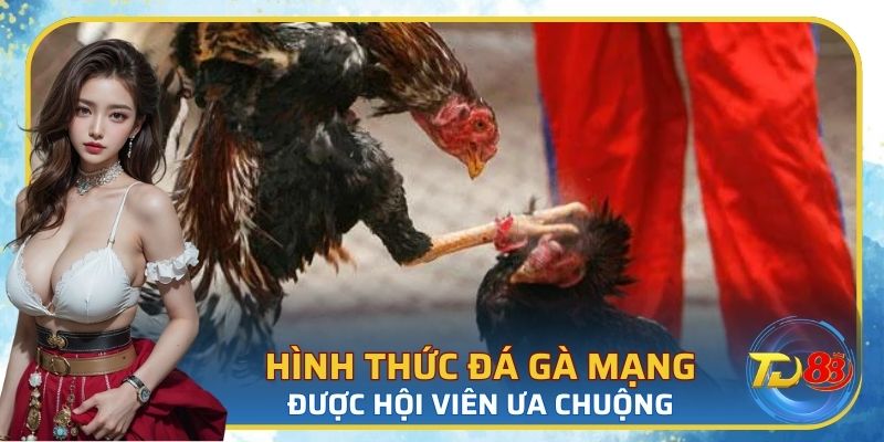 Những loại hình đá gà mạng được quan tâm hiện nay