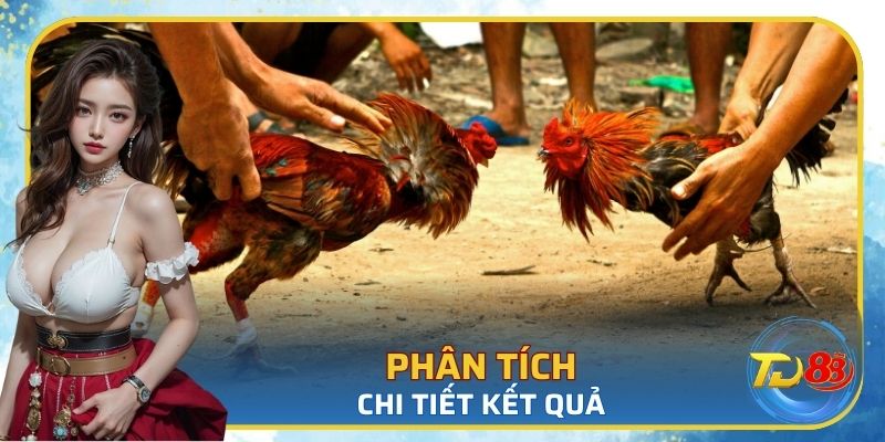 Mẹo chơi đá gà mạng: Phân tích chi tiết kết quả