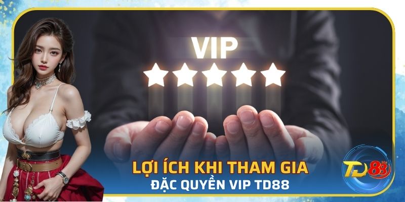 Tham gia đặc quyền VIP TD88 nhận 3 lợi ích khủng