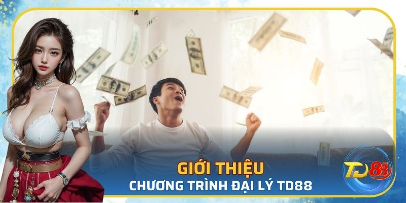 Vài nét sơ lược về chương trình đại lý TD88