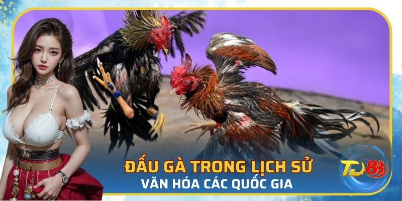 Văn hoá chọi gà phổ biến ở một số quốc gia